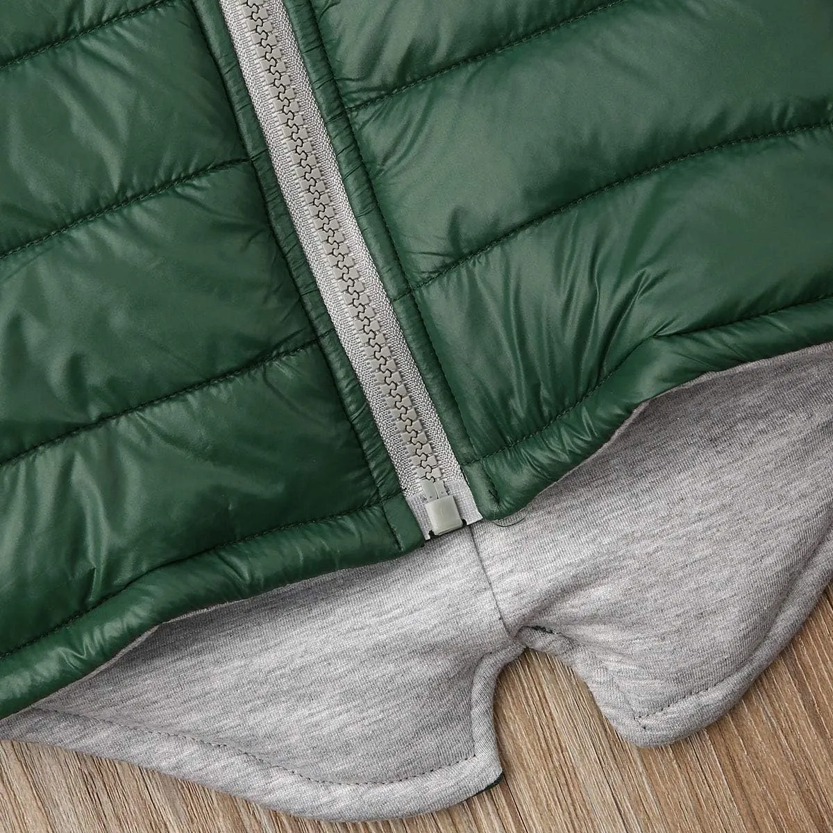 Kids Baby Boys Girls Dinosaur Hoodie Jacket Zipper Up Cotton Padded Hooded Coat Outwear