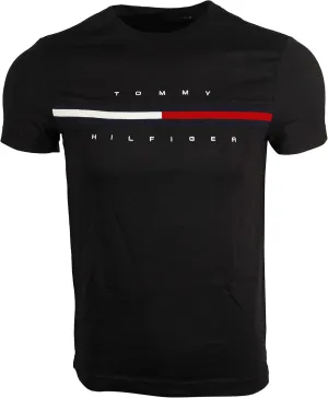 Tommy Hilfiger Men's Tommy Jeans Graphic Logo T-Shirt